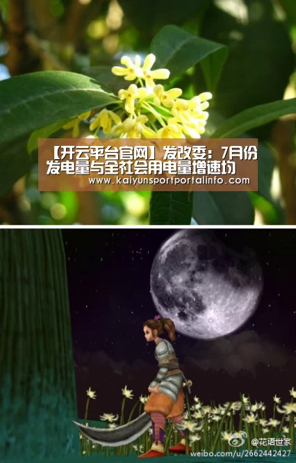 开云官网登录入口
