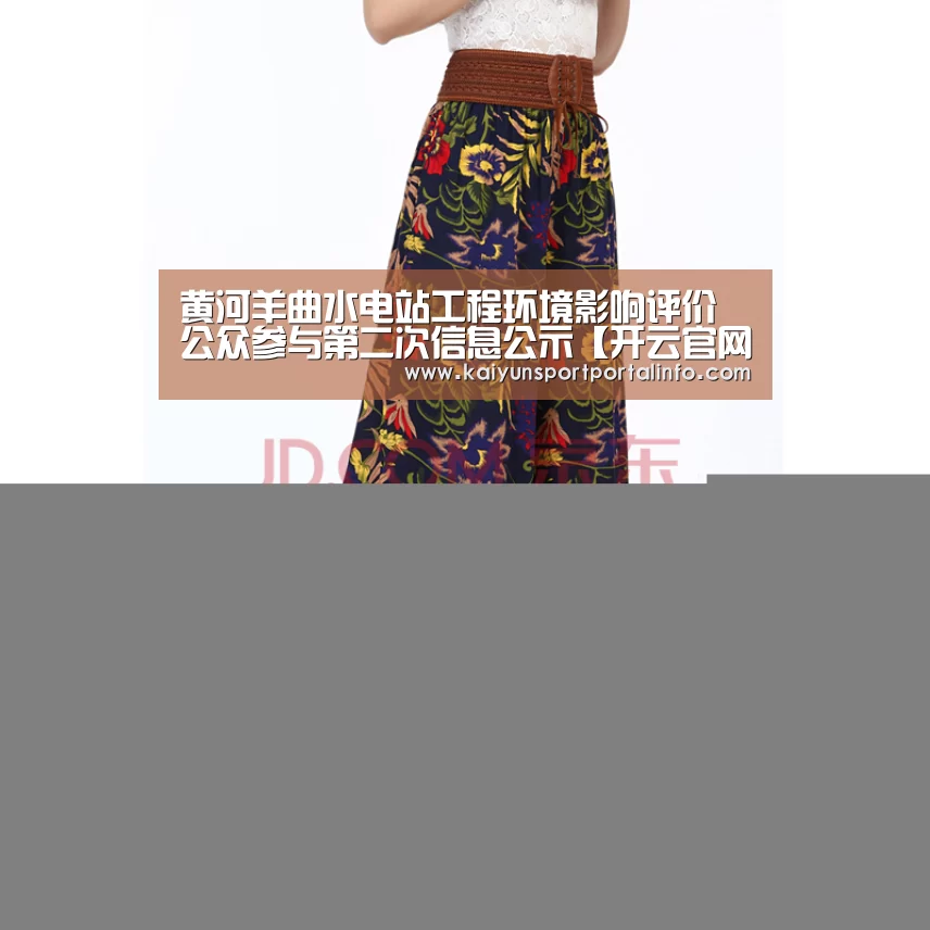 黄河羊曲水电站工程环境影响评价公众参与第二次信息公示【开云官网登录入口】(图3) 开云平台官网