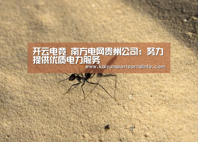 开云电竞_南方电网贵州公司:努力提供优质电力服务(图2) 开云电竞