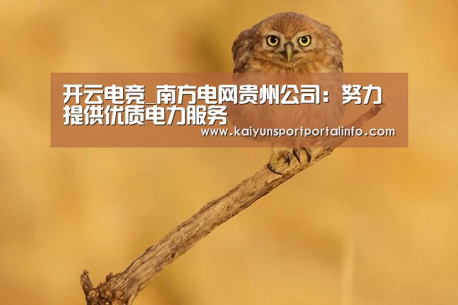 开云电竞_南方电网贵州公司:努力提供优质电力服务(图4) 开云电竞_南方电网贵州公司:努力提供优质电力服务(图4)